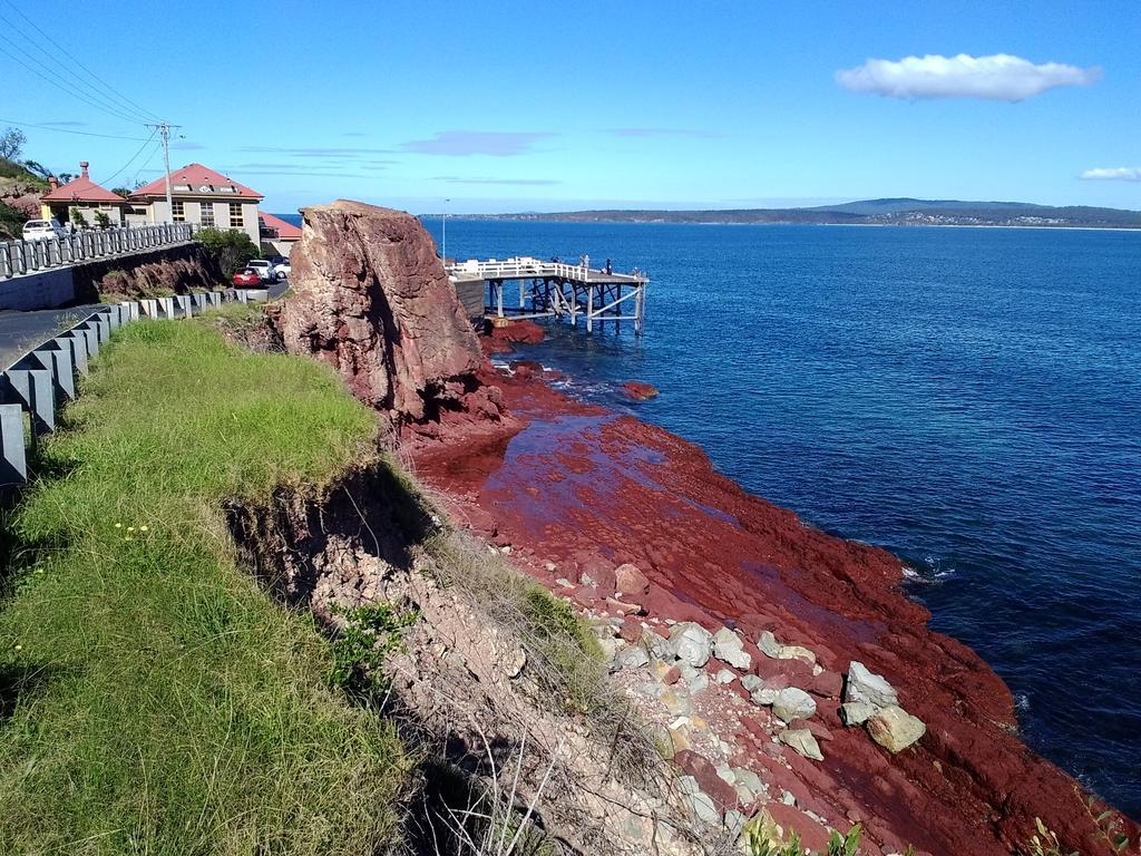 Como Lodge Merimbula Ngoại thất bức ảnh